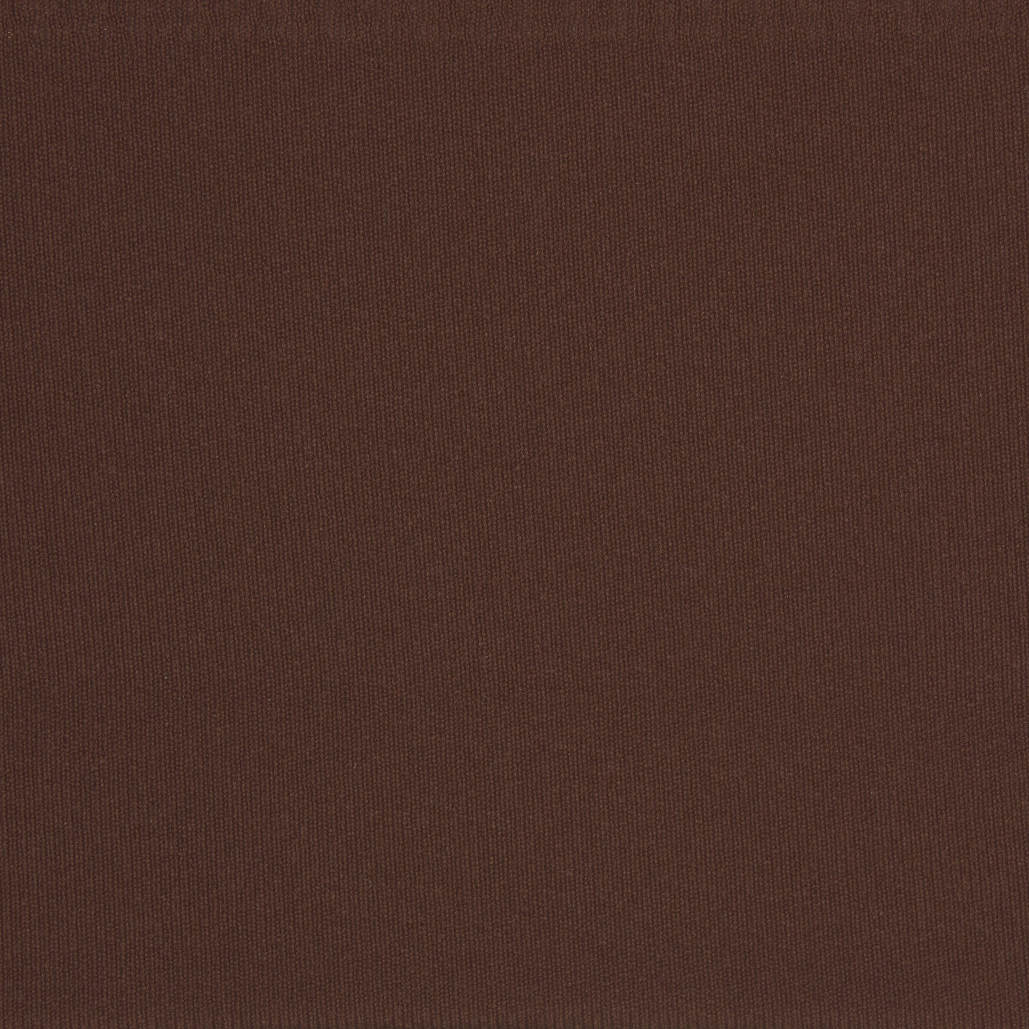 NAKED BIKINI | COCOA